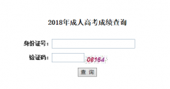 江汉大学成教本科成绩查询
