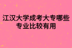 江汉大学成考大专哪些专业比较有用